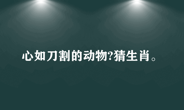 心如刀割的动物?猜生肖。