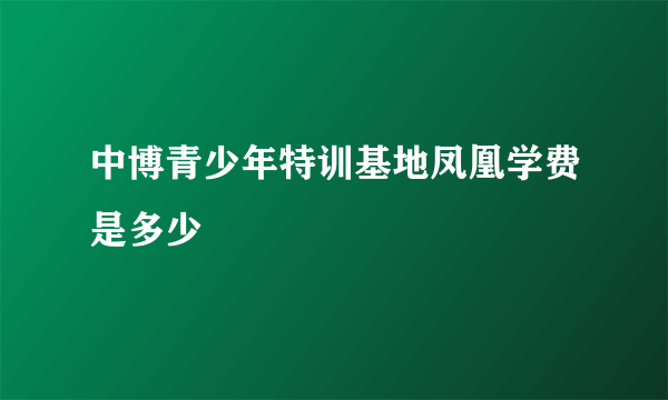 中博青少年特训基地凤凰学费是多少
