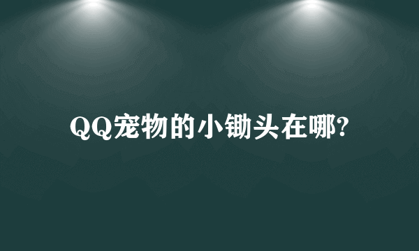 QQ宠物的小锄头在哪?