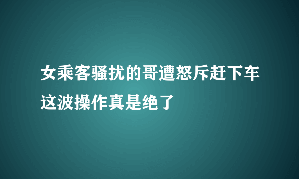 女乘客骚扰的哥遭怒斥赶下车这波操作真是绝了