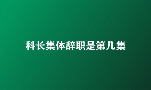 科长集体辞职是第几集