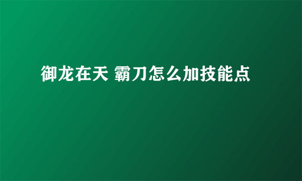 御龙在天 霸刀怎么加技能点