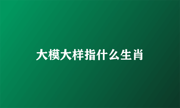 大模大样指什么生肖