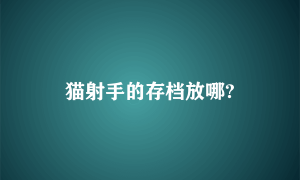 猫射手的存档放哪?