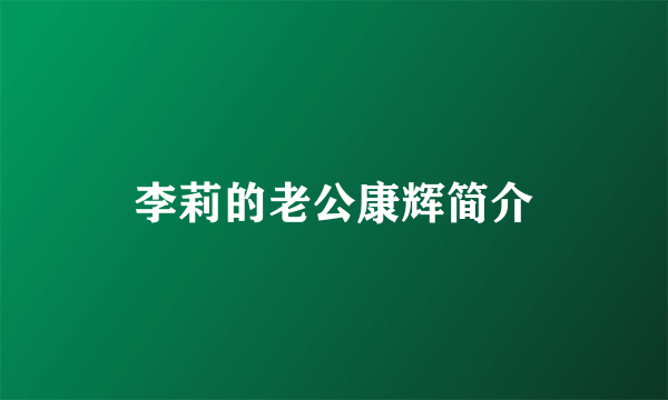 李莉的老公康辉简介