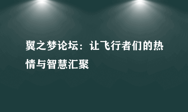 翼之梦论坛：让飞行者们的热情与智慧汇聚