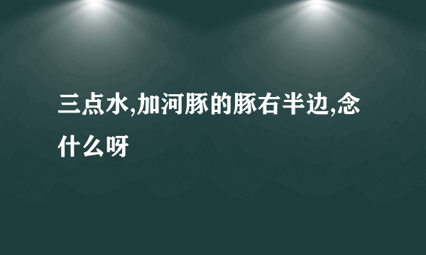 三点水,加河豚的豚右半边,念什么呀