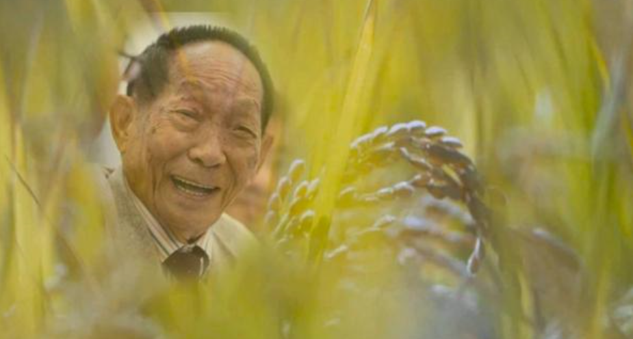 市民深夜排长队悼念袁老，袁老有什么突出的贡献？