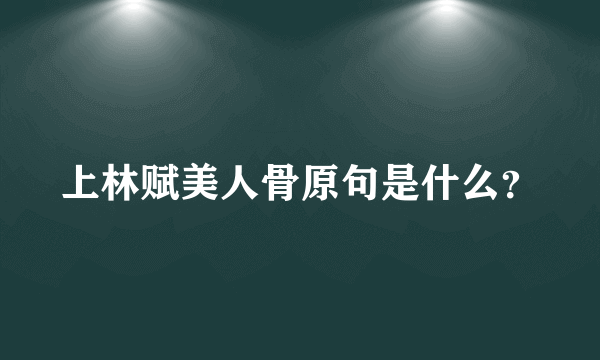 上林赋美人骨原句是什么？