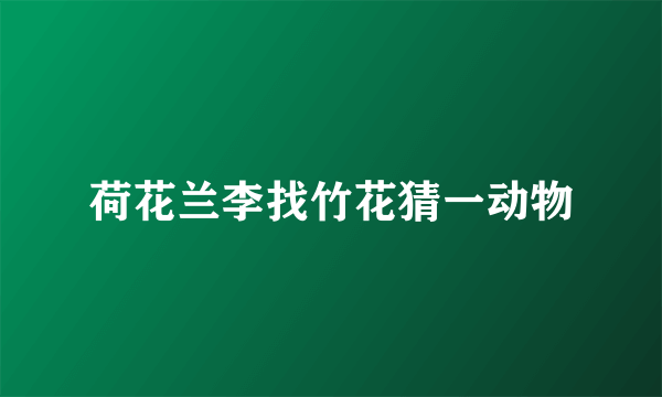荷花兰李找竹花猜一动物