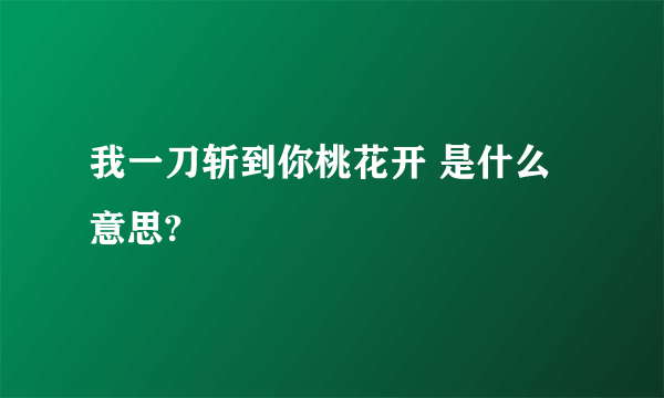 我一刀斩到你桃花开 是什么意思?