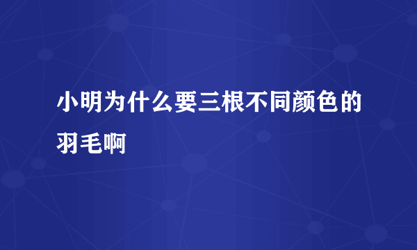小明为什么要三根不同颜色的羽毛啊