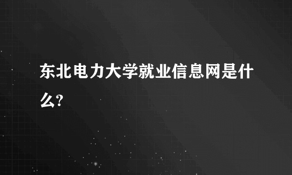 东北电力大学就业信息网是什么?