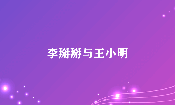 李掰掰与王小明