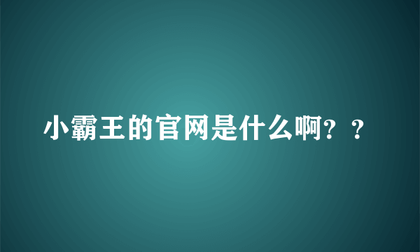 小霸王的官网是什么啊？？