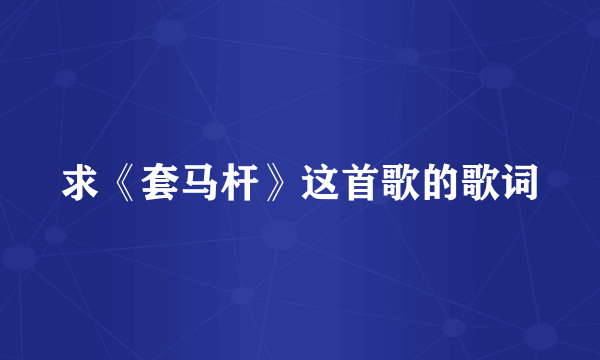 求《套马杆》这首歌的歌词