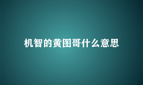 机智的黄图哥什么意思
