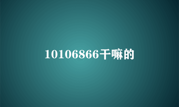 10106866干嘛的