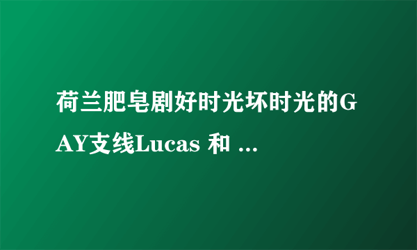 荷兰肥皂剧好时光坏时光的GAY支线Lucas 和 Edwin 的故事的结局是什么？
