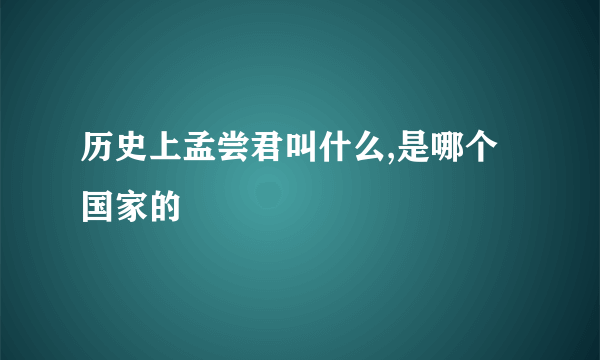 历史上孟尝君叫什么,是哪个国家的