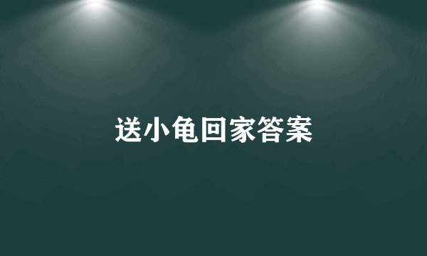 送小龟回家答案