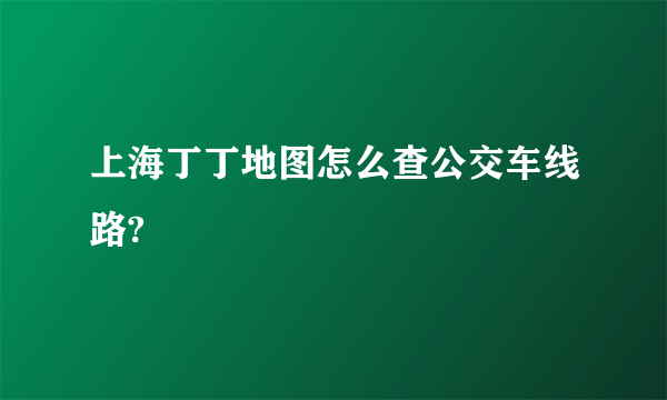 上海丁丁地图怎么查公交车线路?