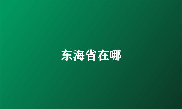 东海省在哪