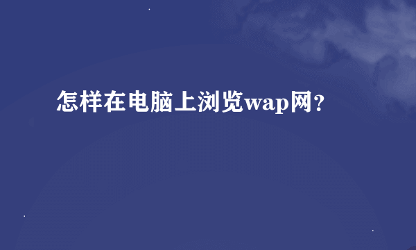 怎样在电脑上浏览wap网？