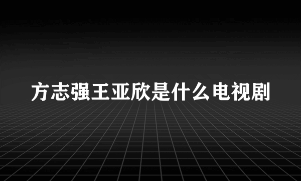 方志强王亚欣是什么电视剧