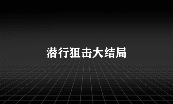 潜行狙击大结局