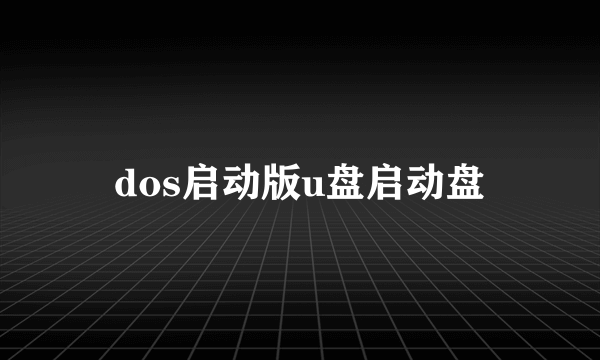 dos启动版u盘启动盘