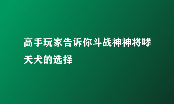 高手玩家告诉你斗战神神将哮天犬的选择