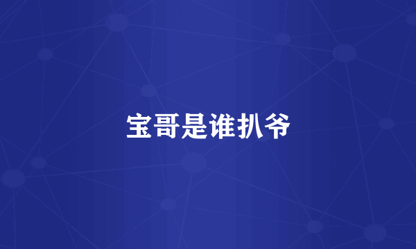 宝哥是谁扒爷