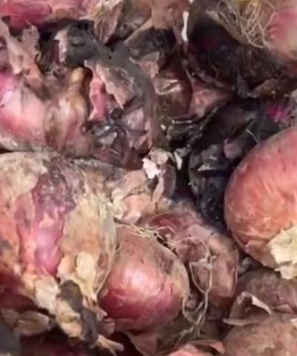 网传招远一幼儿园餐食霉烂，系离职厨师造谣，造谣者会被怎么罚？