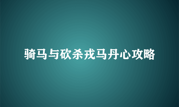 骑马与砍杀戎马丹心攻略