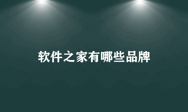 软件之家有哪些品牌