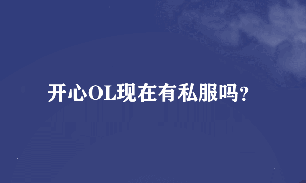 开心OL现在有私服吗？