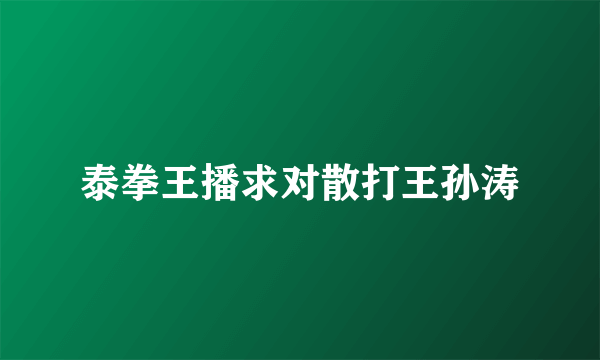 泰拳王播求对散打王孙涛