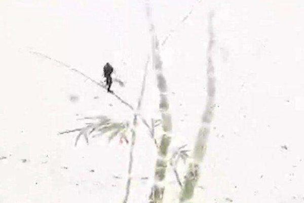 一美术老师雪地中扫出巨幅雪竹图，她的作品为何引得多数人点赞？