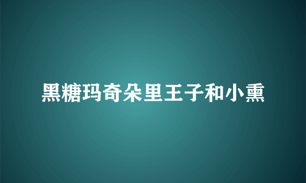 黑糖玛奇朵里王子和小熏