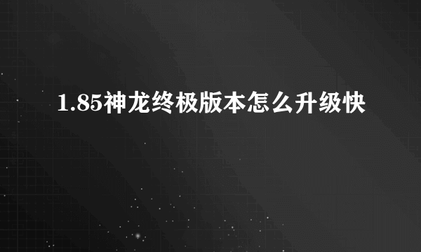 1.85神龙终极版本怎么升级快