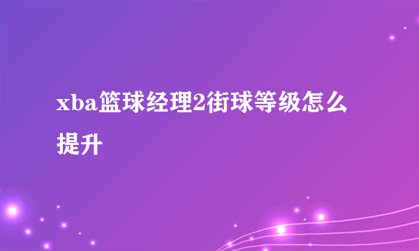 xba篮球经理2街球等级怎么提升