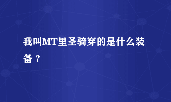 我叫MT里圣骑穿的是什么装备 ?