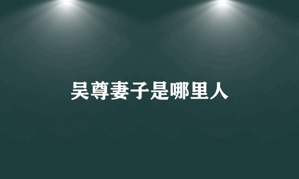 吴尊妻子是哪里人