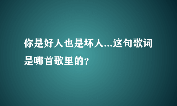 你是好人也是坏人...这句歌词是哪首歌里的？
