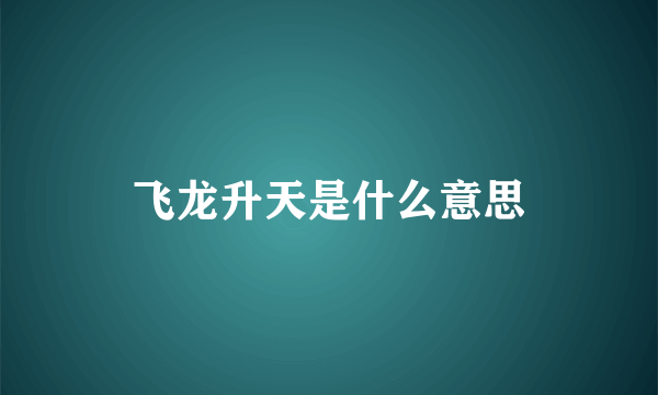 飞龙升天是什么意思