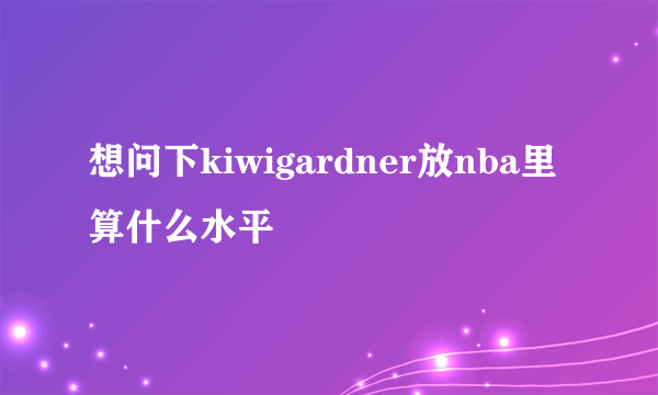 想问下kiwigardner放nba里算什么水平