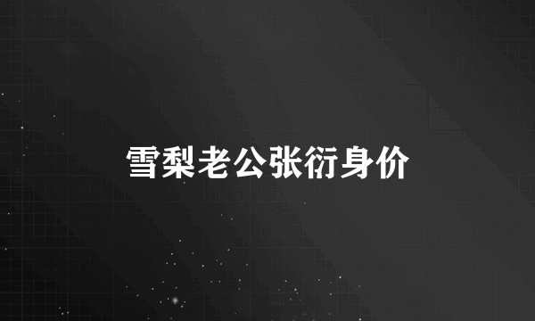 雪梨老公张衍身价