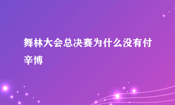 舞林大会总决赛为什么没有付辛博