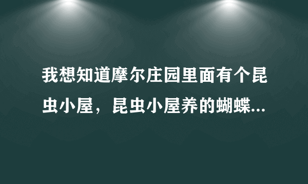 我想知道摩尔庄园里面有个昆虫小屋，昆虫小屋养的蝴蝶和蚕喂什么，去哪里给他们买食物